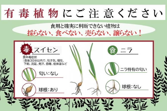 有毒植物にご注意ください
