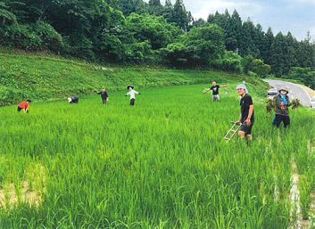 鬼越の森再生PG03