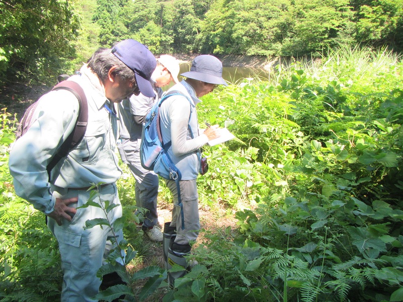 生き物調査