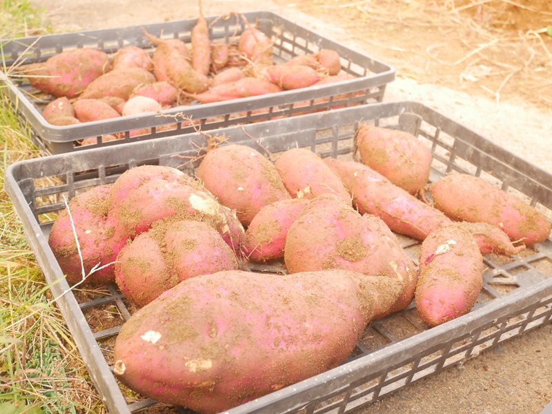 こころの医療センター4