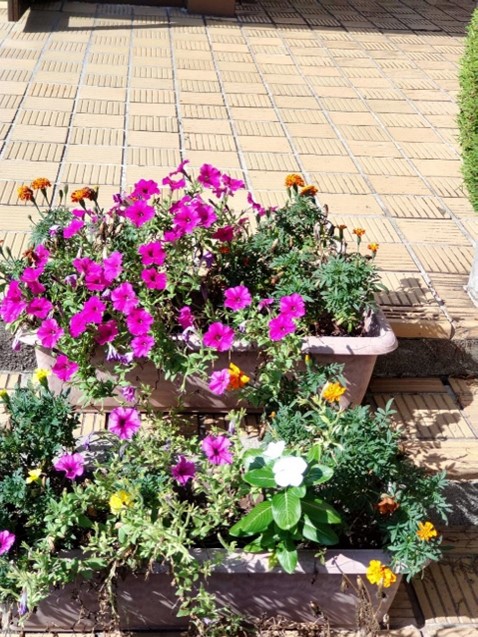 朝日少年自然の家9