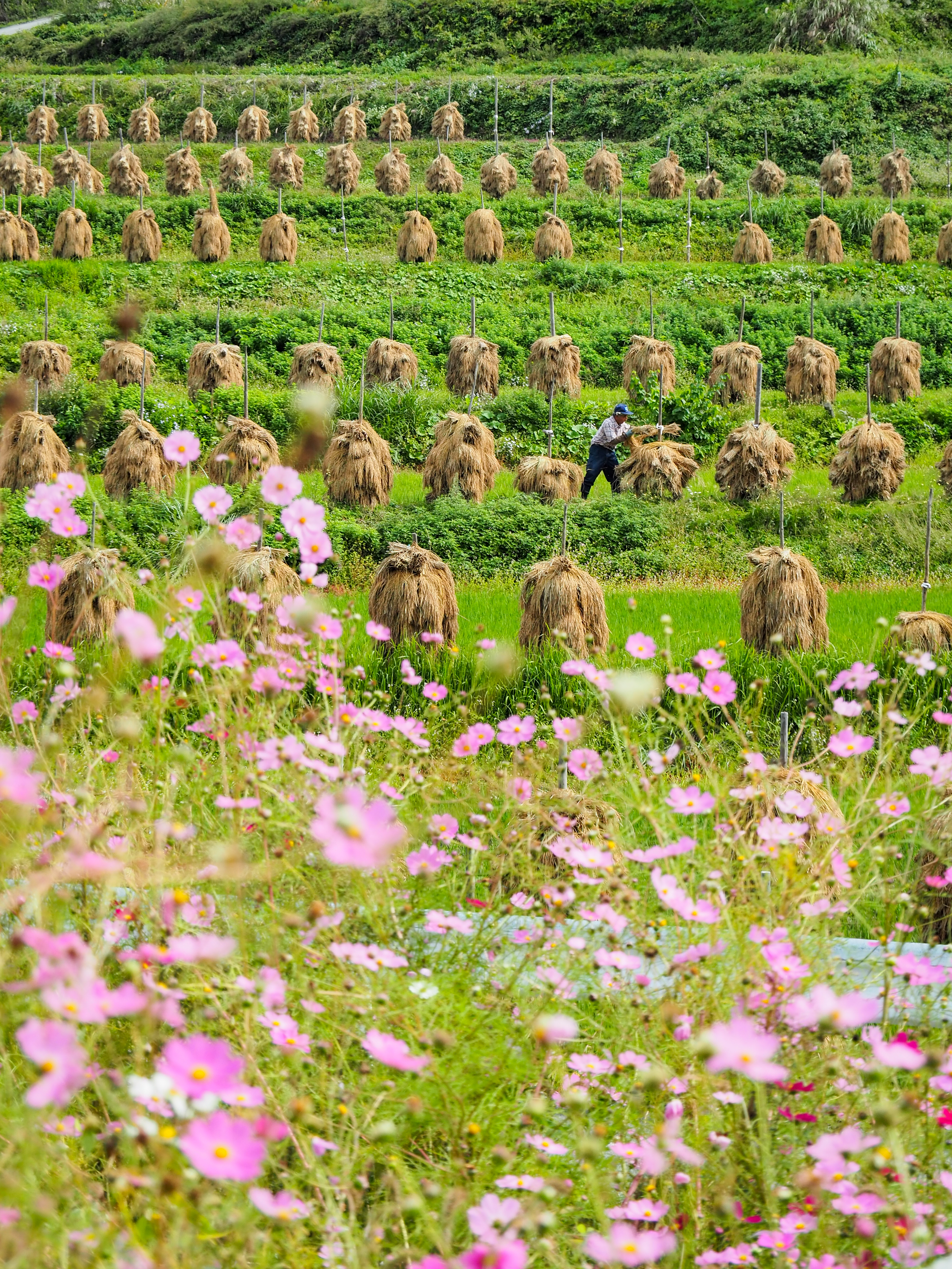 フォトジェニック賞4