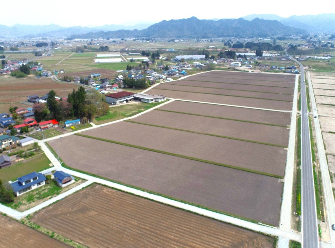 kibanseibi