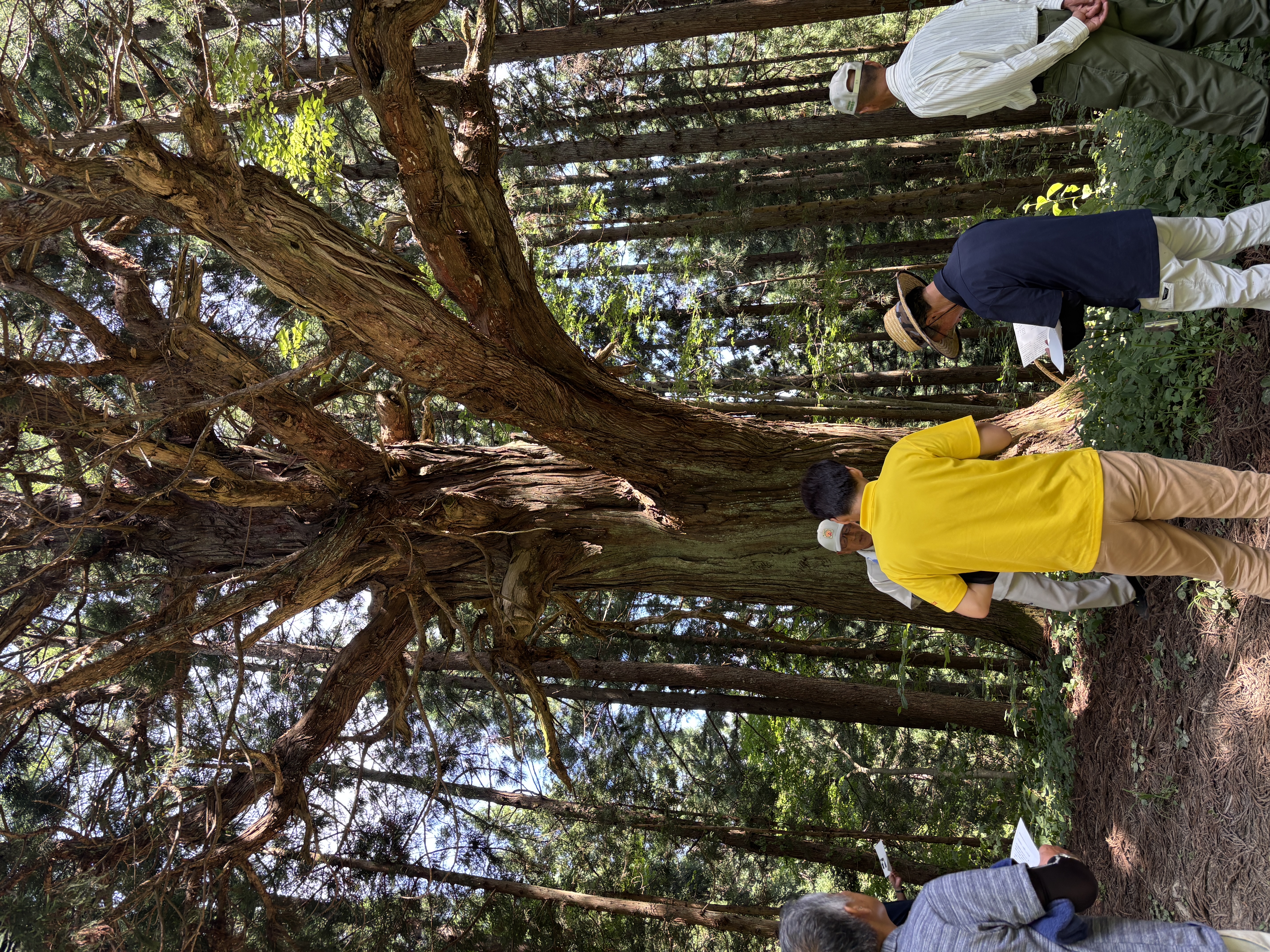 白鷹町観光協会森林ツアー