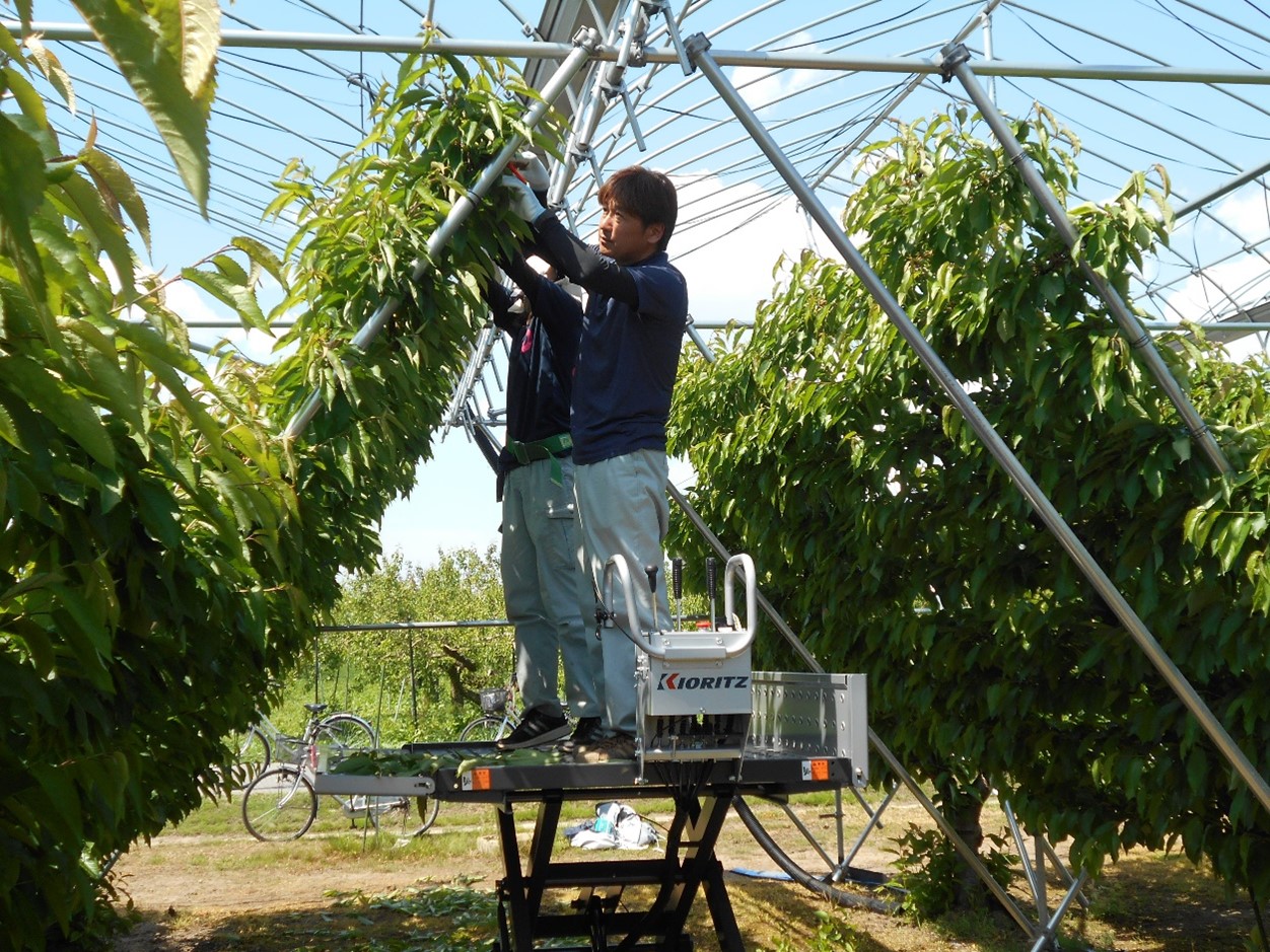 R7一般農業（農業）