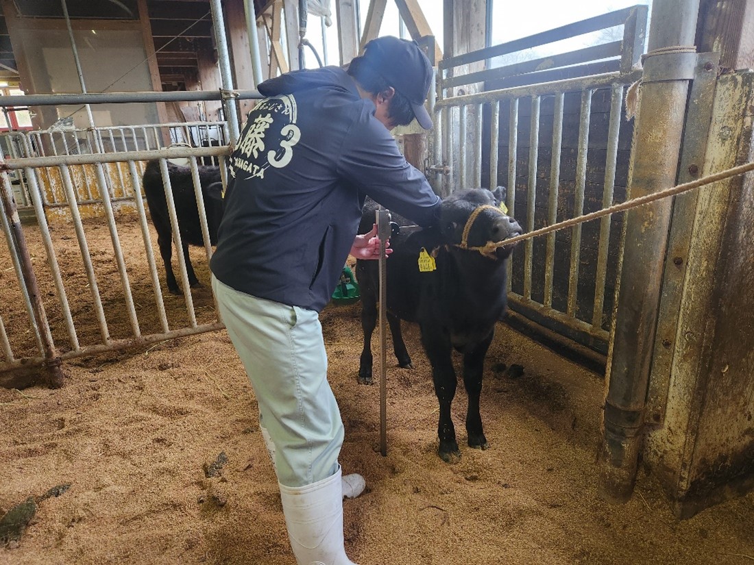 R7一般農業（畜産）