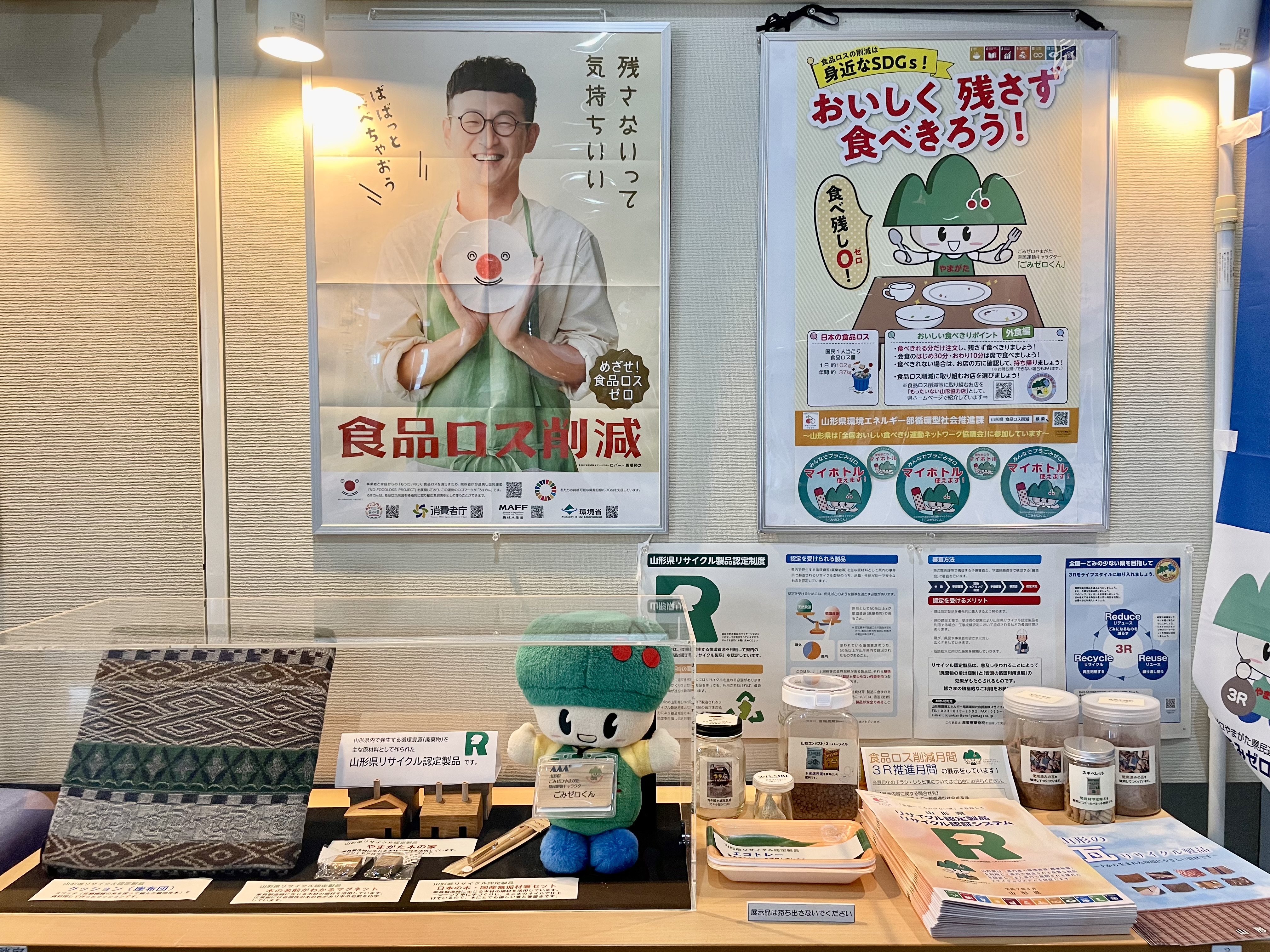 junnkanngatasyakai1